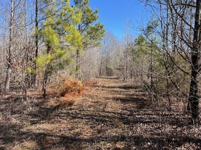 83 Hays Road Moscow, TN 38057 - Photo 16 of 23 a view of backyard of house