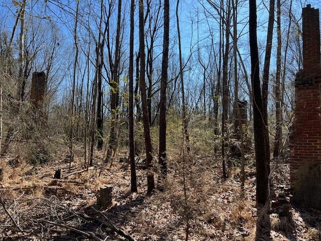 83 Hays Road Moscow, TN 38057 - Photo 20 of 23 a view of a yard with lots of trees