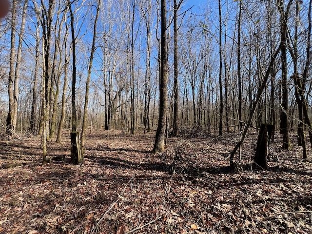 83 Hays Road Moscow, TN 38057 - Photo 21 of 23 a backyard of a house with lots of green space