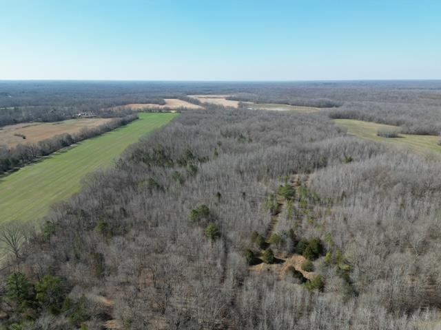 83 Hays Road Moscow, TN 38057 - Photo 4 of 23 a view of a field with lots of bushes