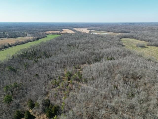 83 Hays Road Moscow, TN 38057 - Photo 7 of 23 a view of a dry yard