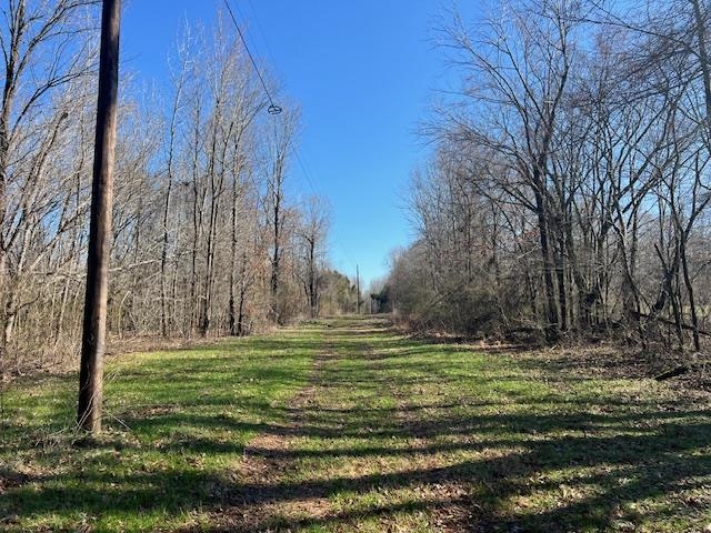 83 Hays Road Moscow, TN 38057 - Photo 8 of 23 a view of a park with large trees