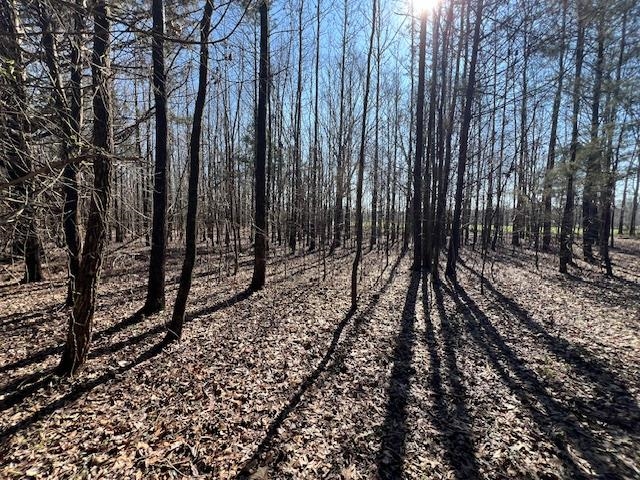 83 Hays Road Moscow, TN 38057 - Photo 9 of 23 a view of outdoor space with lots of trees