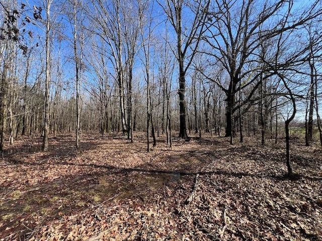 83 Hays Road Moscow, TN 38057 - Photo 10 of 23 a backyard of a house with lots of green space