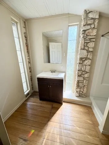 a bathroom with a sink a mirror and a shower