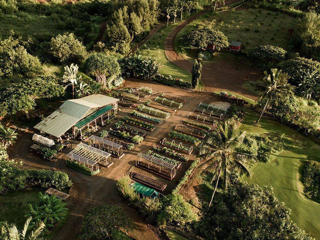 11 Lot Koloa, HI 96756 - Photo 7 of 9 an aerial view of a house with a yard and lake view