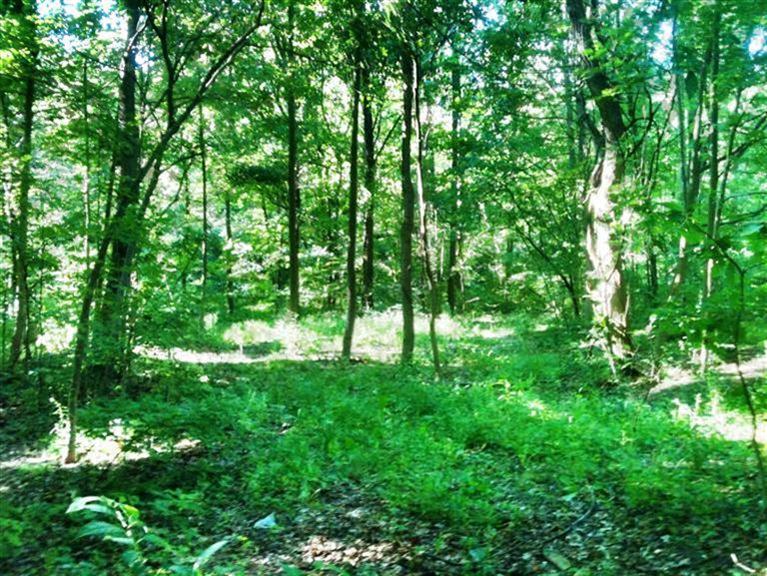 Minnich Road Sawyer, MI 49125 - Photo 3 of 5 Additional Photo