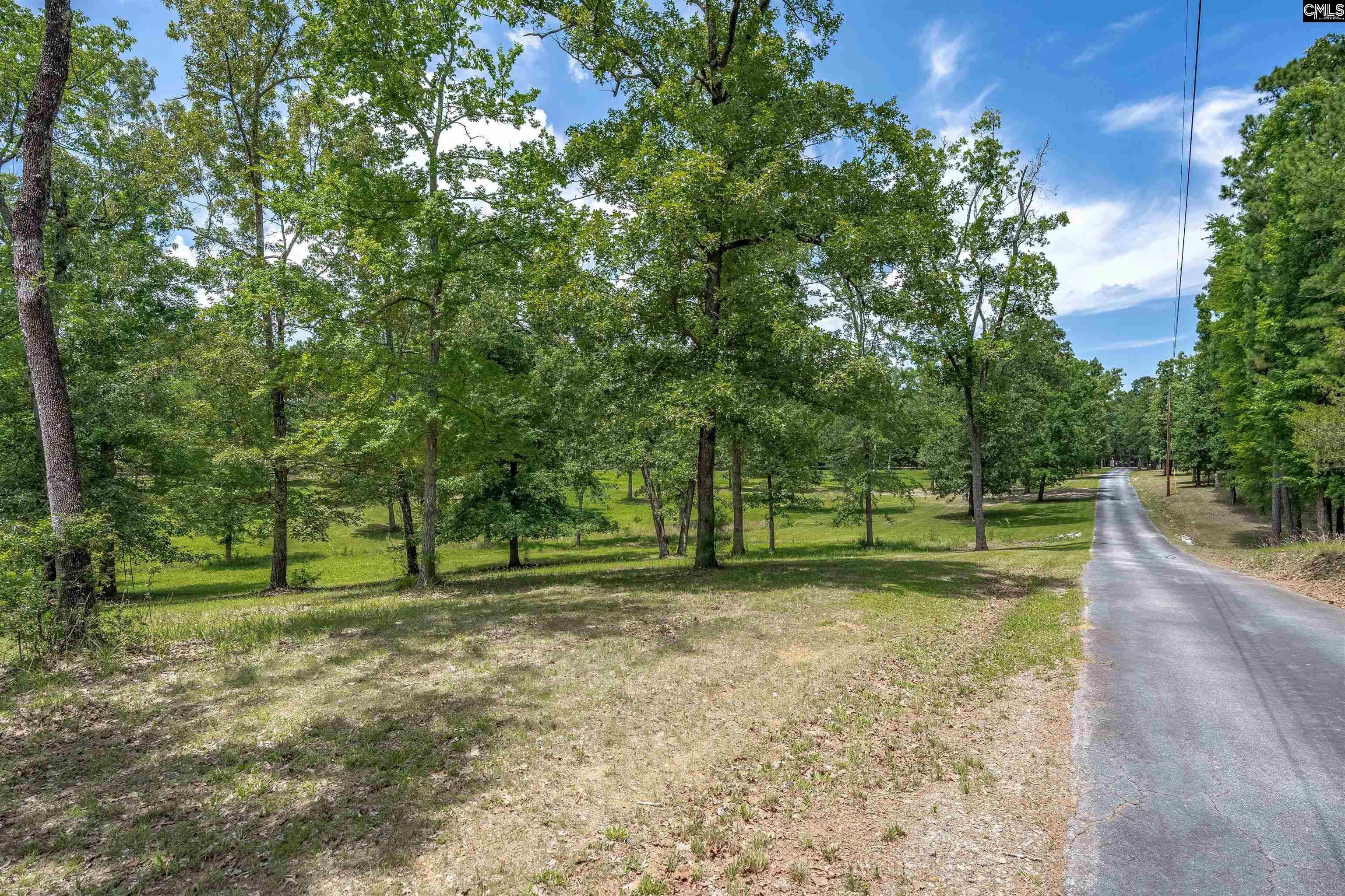 165 St Thomas Church Road Chapin, SC 29036 - Photo 73 of 99