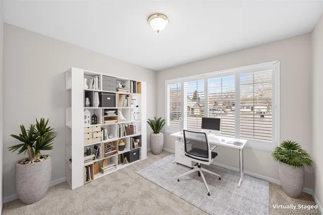 a view of a livingroom with furniture and a potted plant