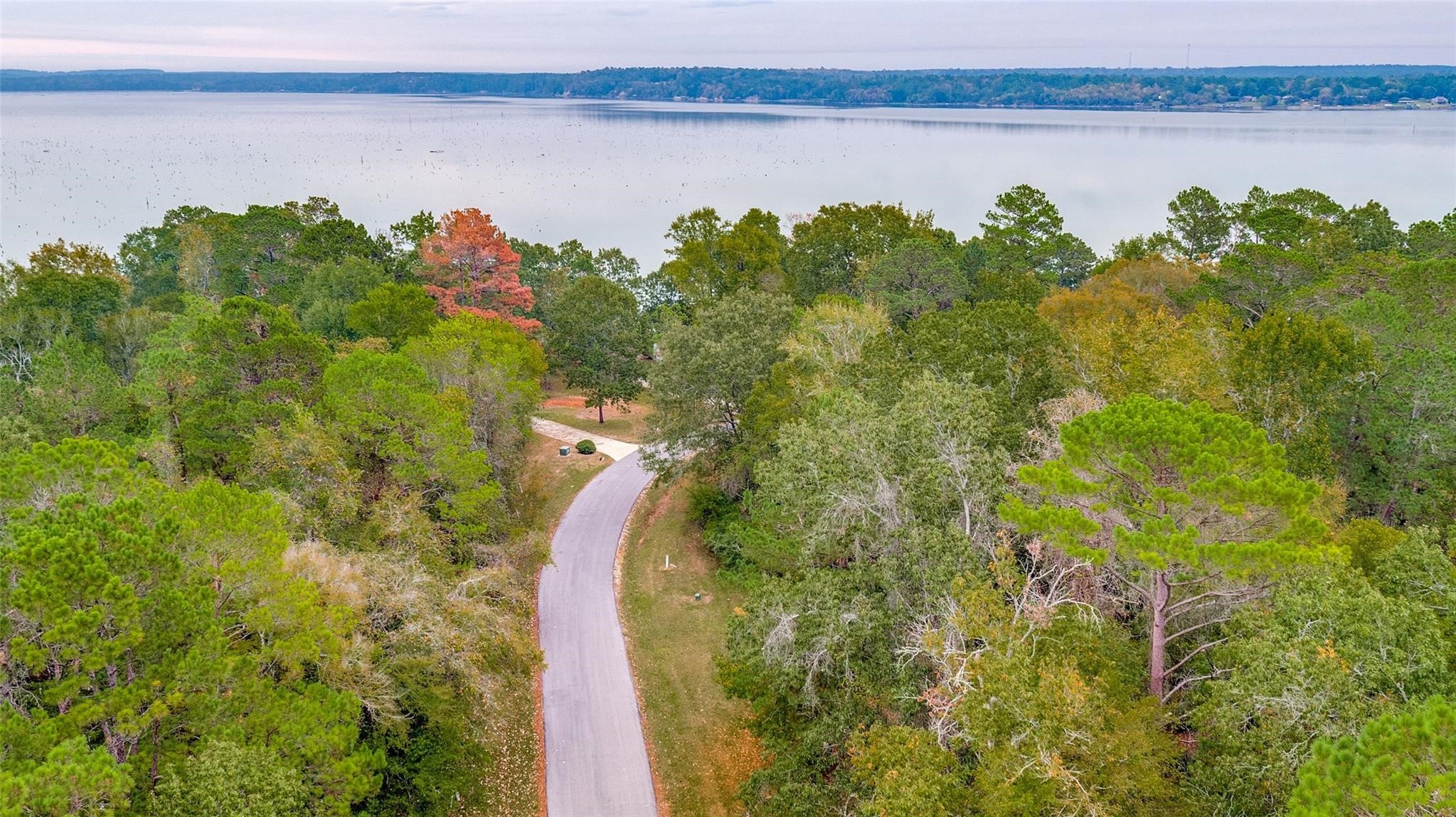 Tbd Venice Way Huntsville, TX 77320 - Photo 3 of 10