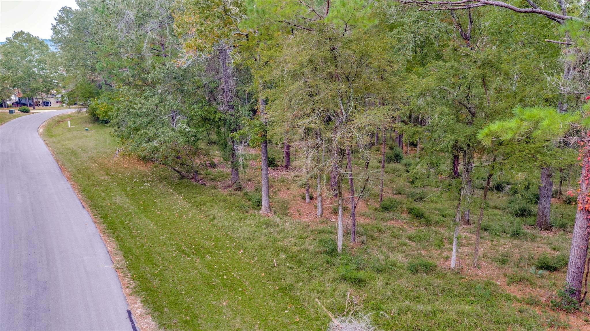 Tbd Venice Way Huntsville, TX 77320 - Photo 5 of 10