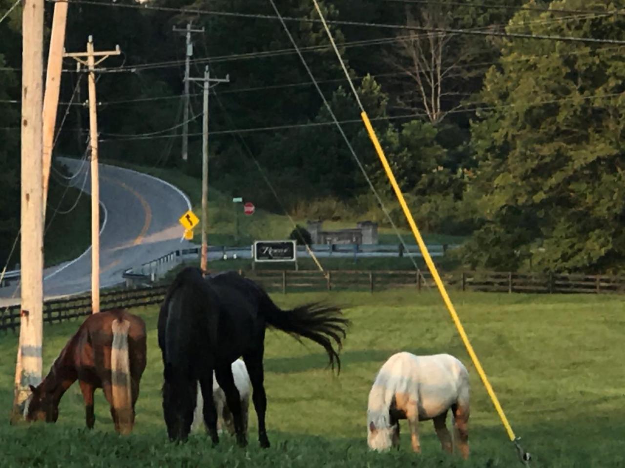 2060 Pumphouse Road Somerset, KY 42503 - Photo 12 of 21 Additional Photo