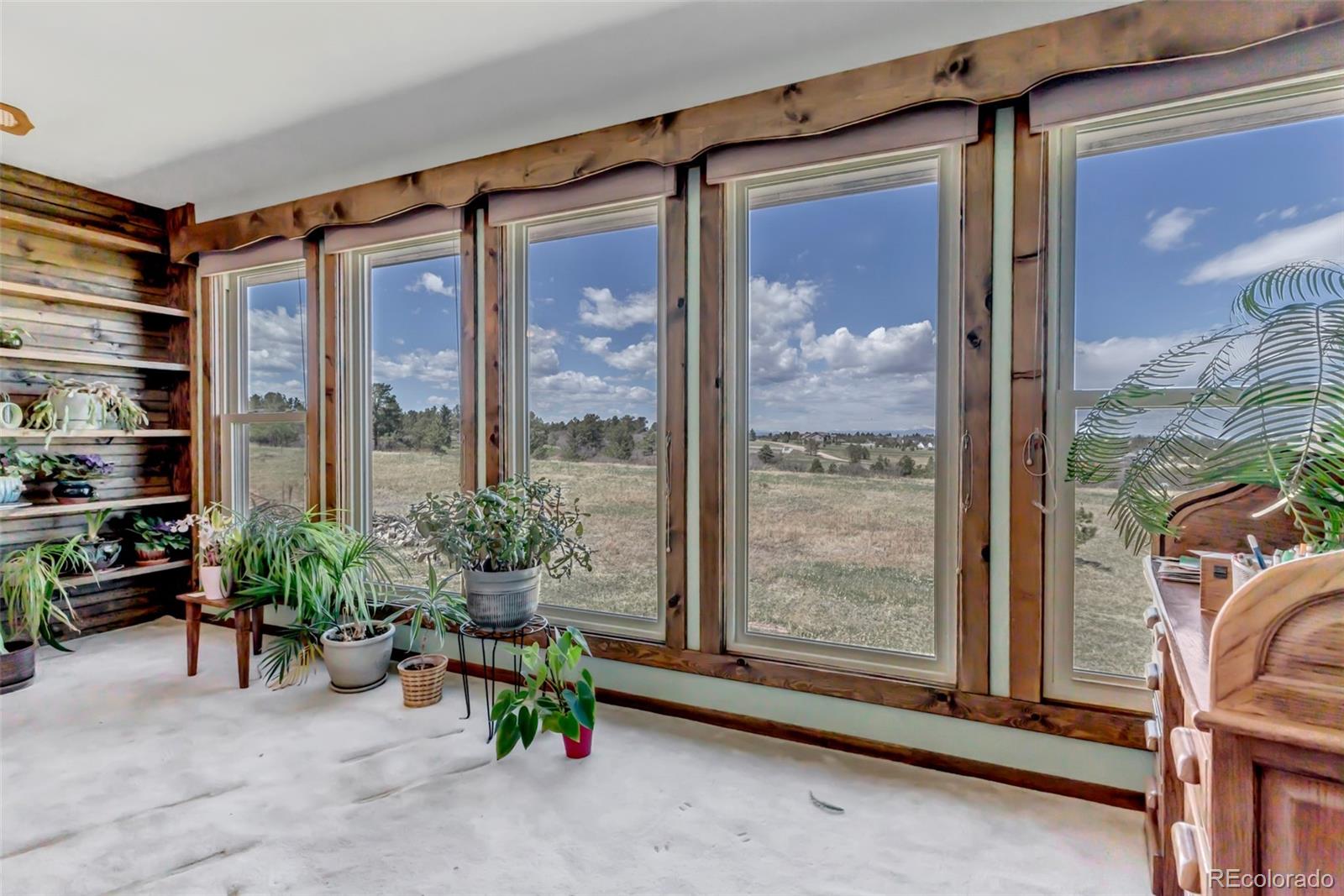 1493 Flintwood Road Franktown, CO 80116 - Photo 27 of 31 a living room filled with furniture and a potted plant