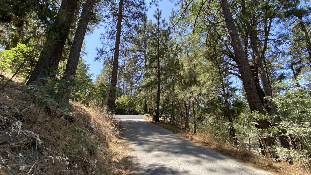 52905 Tollgate Road Idyllwild, CA 92549 - Photo 8 of 91 a view of a forest with trees
