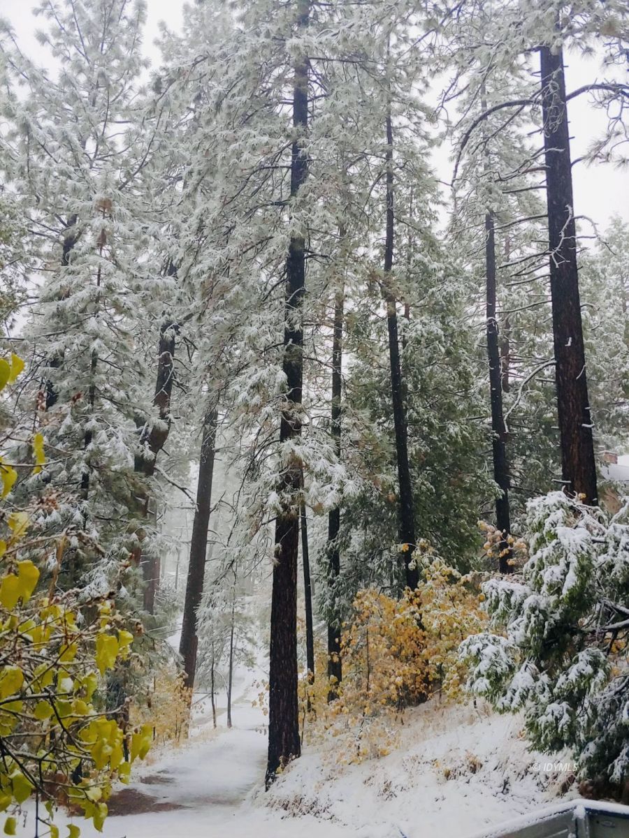 52905 Tollgate Road Idyllwild, CA 92549 - Photo 90 of 91 Untitled