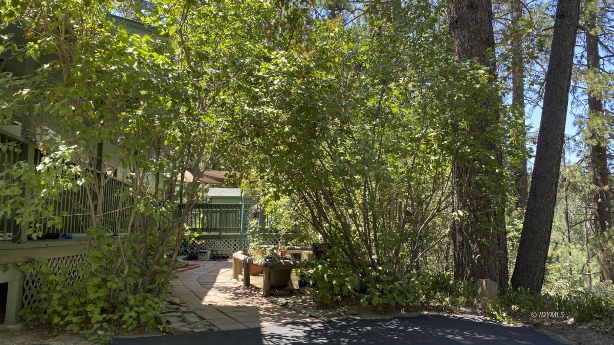 52905 Tollgate Road Idyllwild, CA 92549 - Photo 9 of 91 a view of a house with a yard