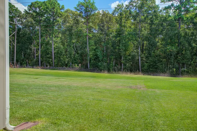 $585,000 | 1969 Wild Indigo Way, Hanahan, SC 29410