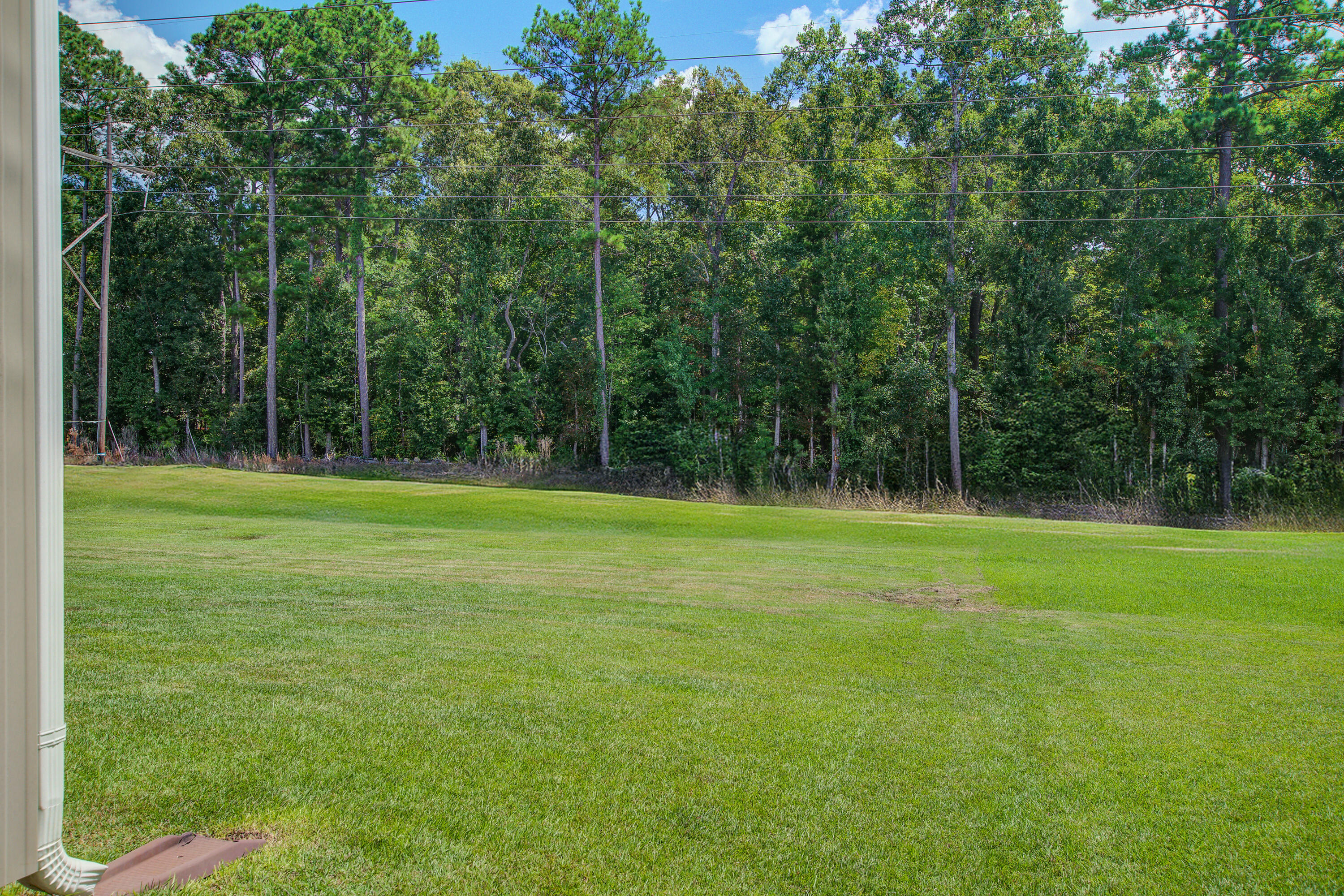 1969 Wild Indigo Way Hanahan, SC 29410 - Photo 38 of 41 1969 (40)_V2