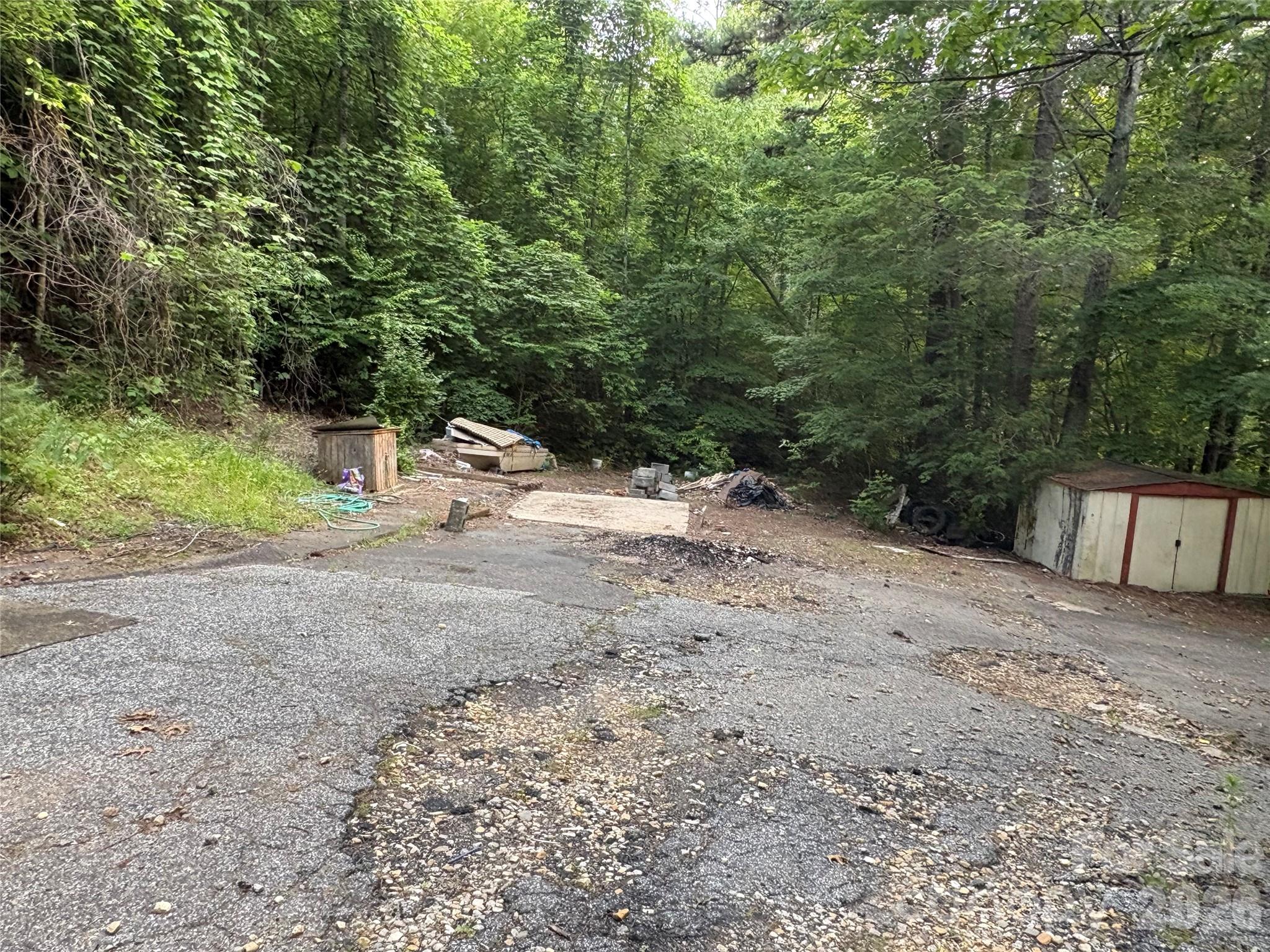 4733 Bat Cave Road Old Fort, NC 28762 - Photo 6 of 36
