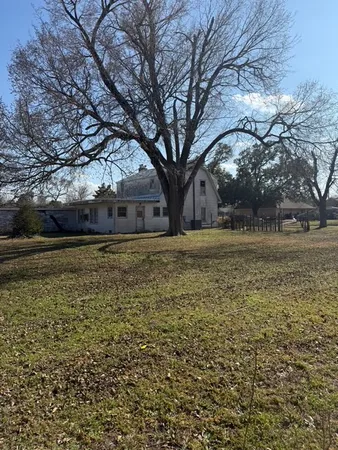 a view of a yard with a large tree