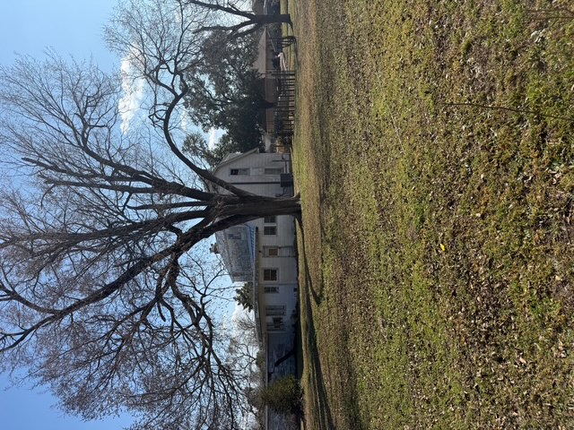 1212 East 28th Street Bryan, TX 77803 - Photo 1 of 6