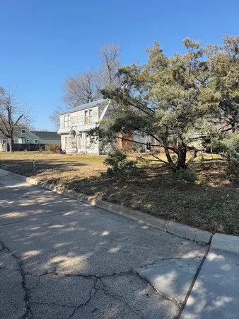 a view of a yard with a large tree