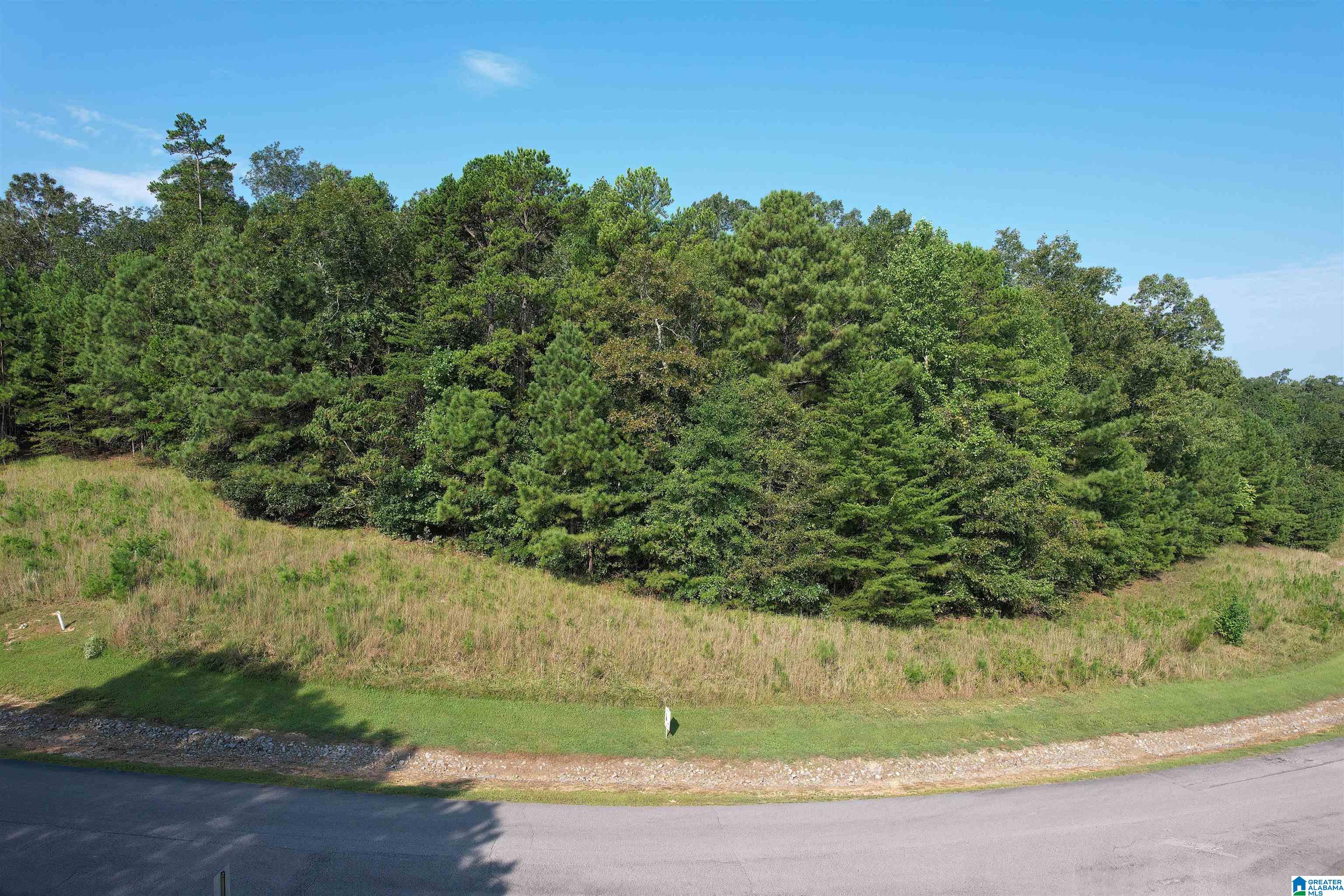 221 Stoney Point Road South, Unit 221/122 Double Springs, AL 35553 - Photo 2 of 25
