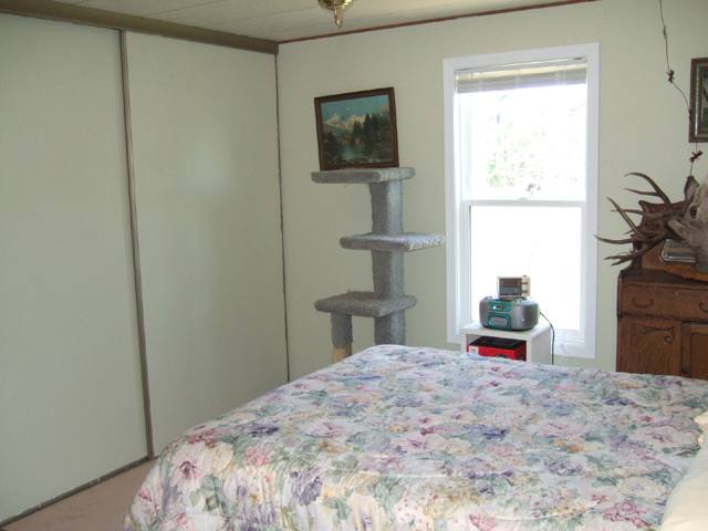 17215 South Bluebird Road Cheney, WA 99004 - Photo 5 of 9