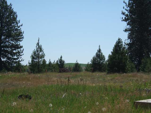 17215 South Bluebird Road Cheney, WA 99004 - Photo 9 of 9