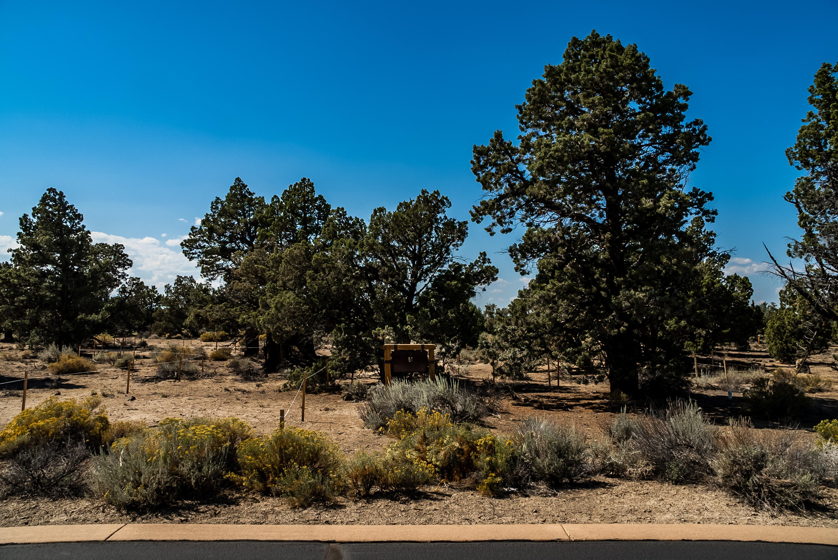 22953 Canyon View Loop Bend, OR 97701 - Photo 7 of 21 Pronghorn Lot 184-8