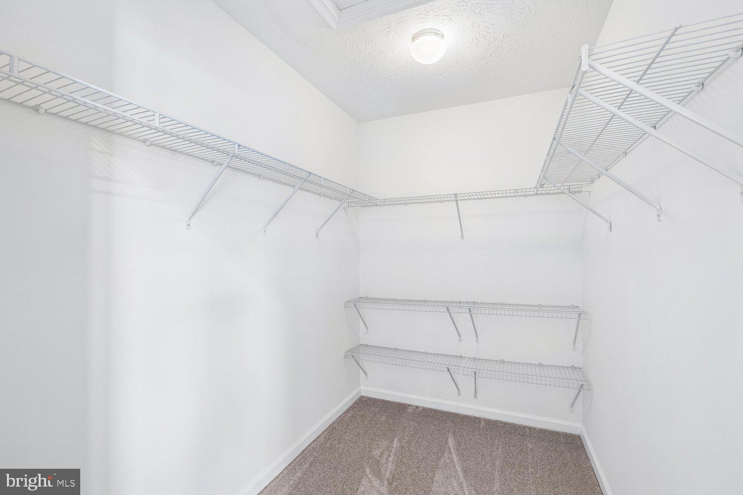 2426 Knapps Way Odenton, MD 21113 - Photo 38 of 71 Walk In Closet