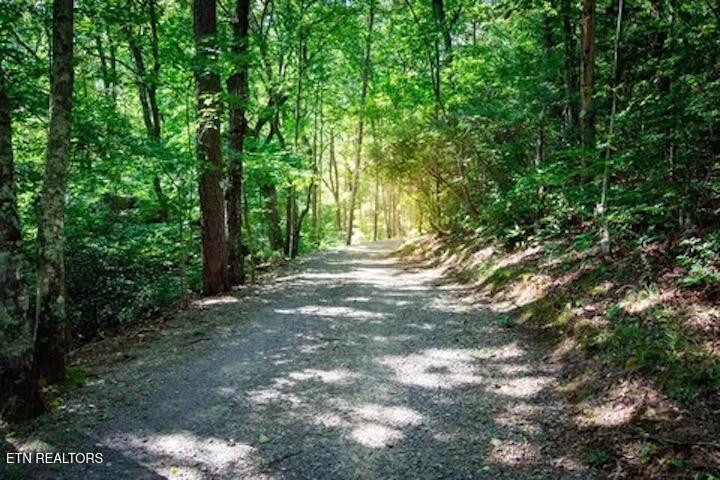 157 Twilight Trail Dunlap, TN 37327 - Photo 49 of 55 48) 62870-68c3492730110