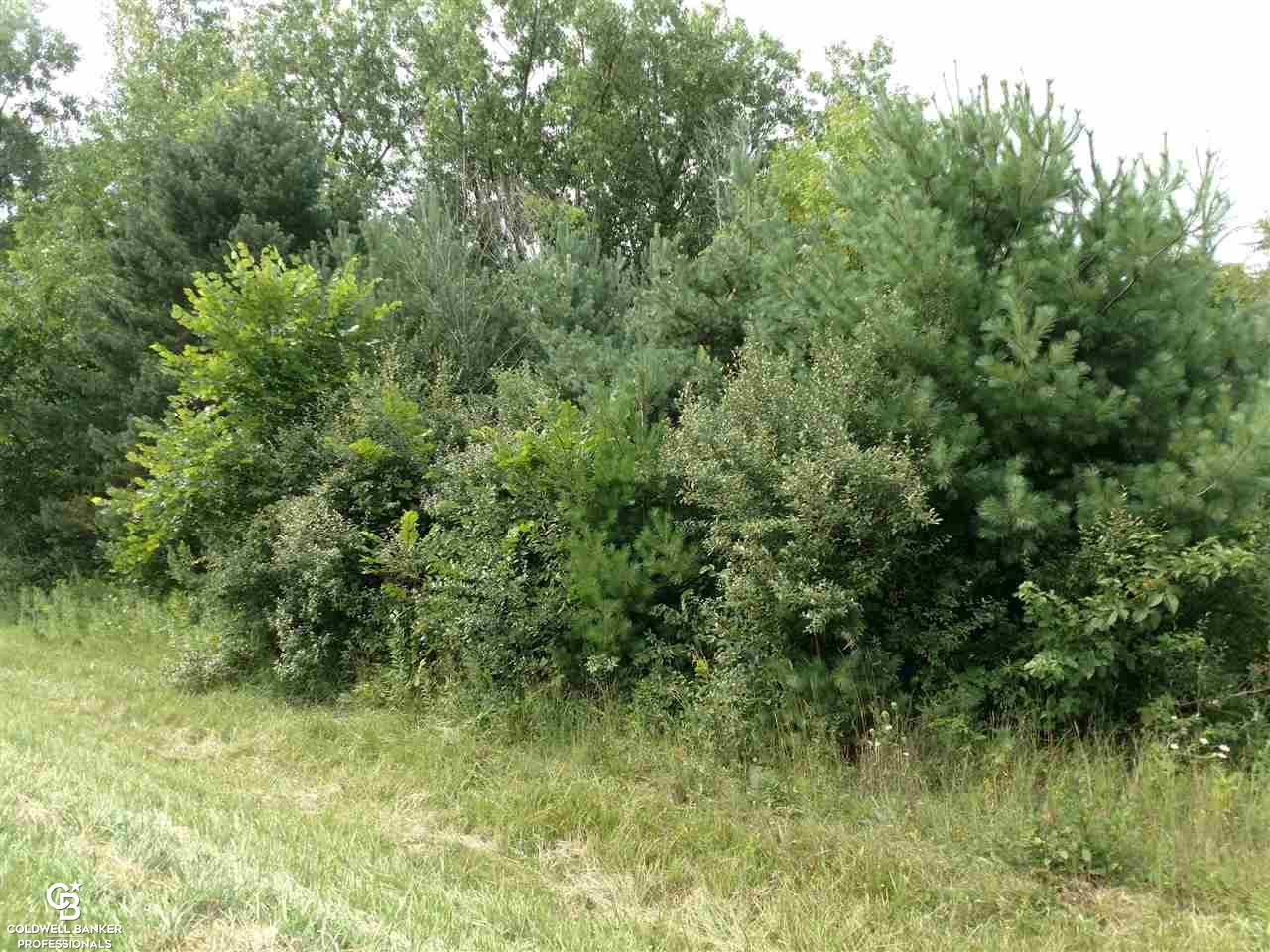 East Galbraith Line Road Melvin, MI 48454 - Photo 5 of 10