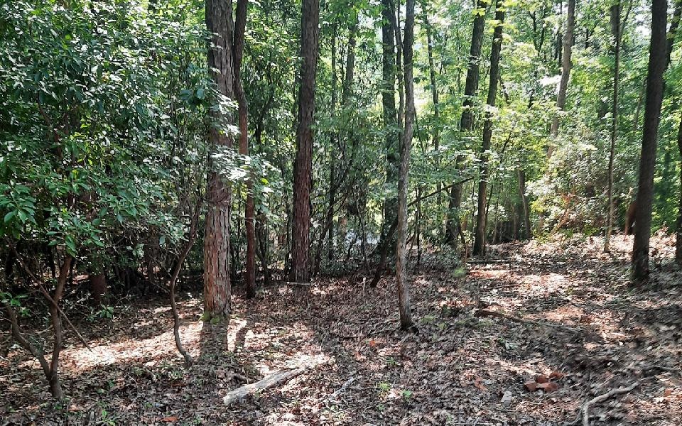 29 Possum Poke Road Ellijay, GA 30536 - Photo 14 of 24 Additional View