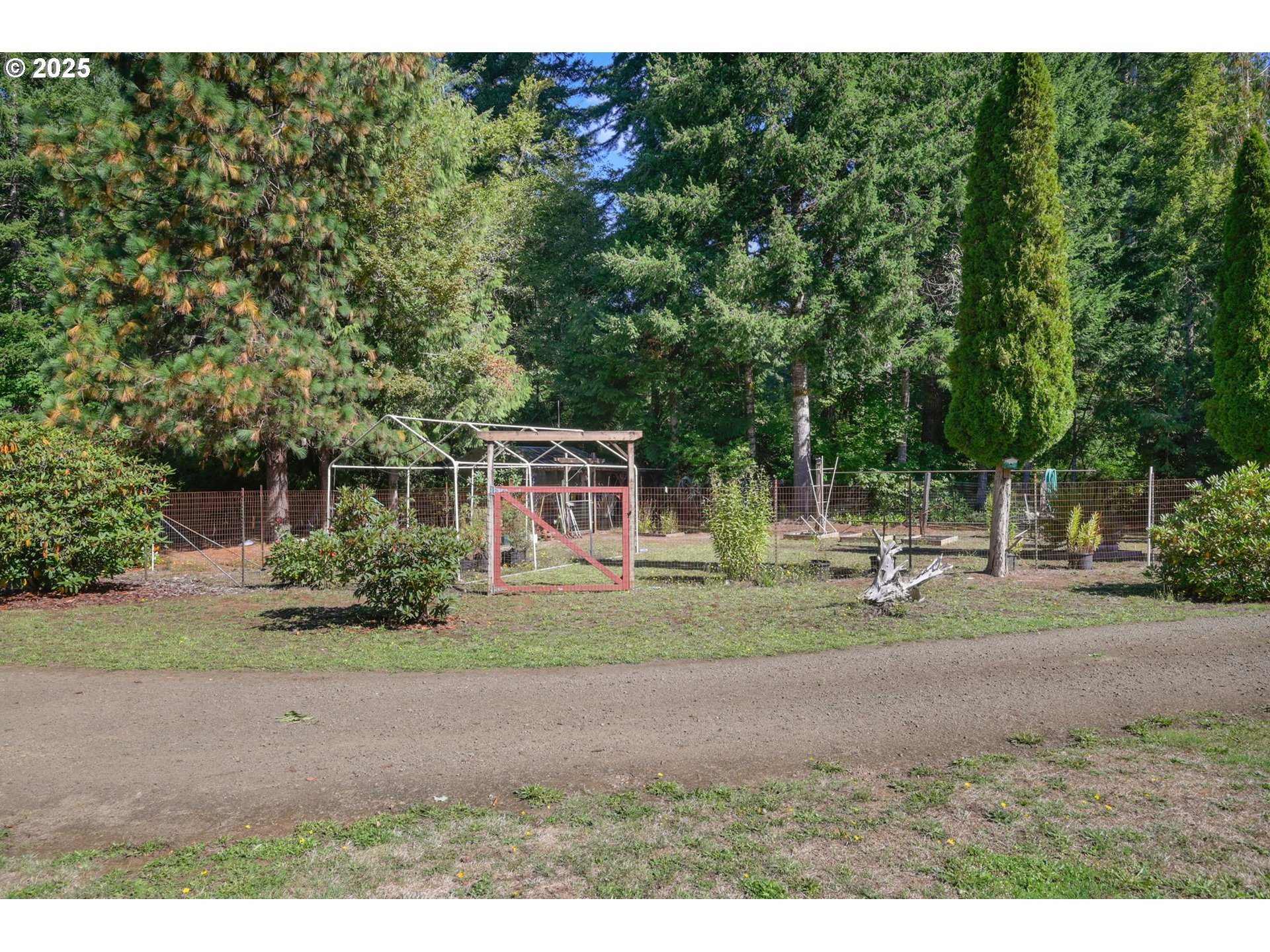 89550 Dick Way Florence, OR 97439 - Photo 29 of 39 a front view of a house with a yard and trees