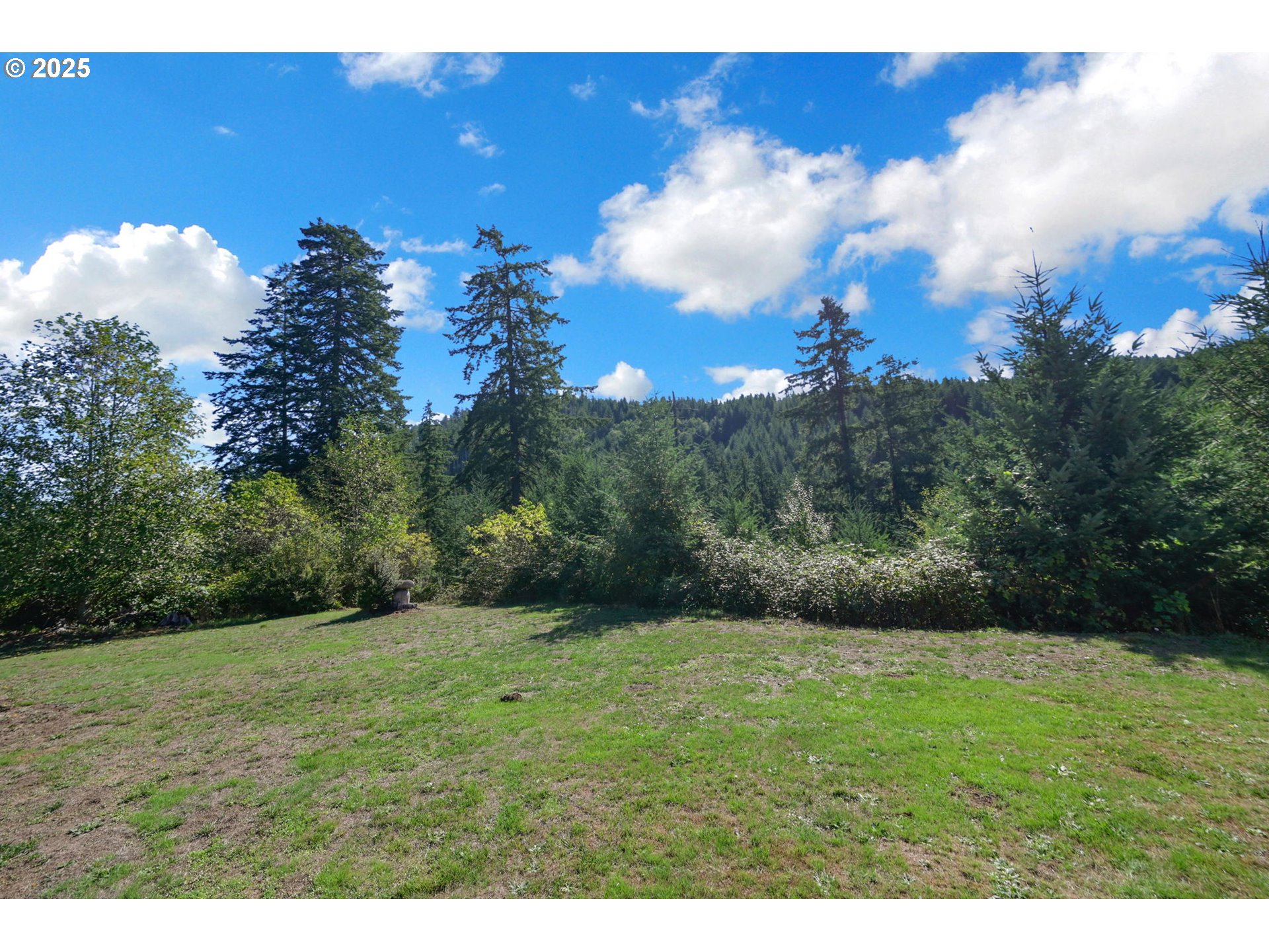 89550 Dick Way Florence, OR 97439 - Photo 37 of 39 a view of an outdoor space and a yard