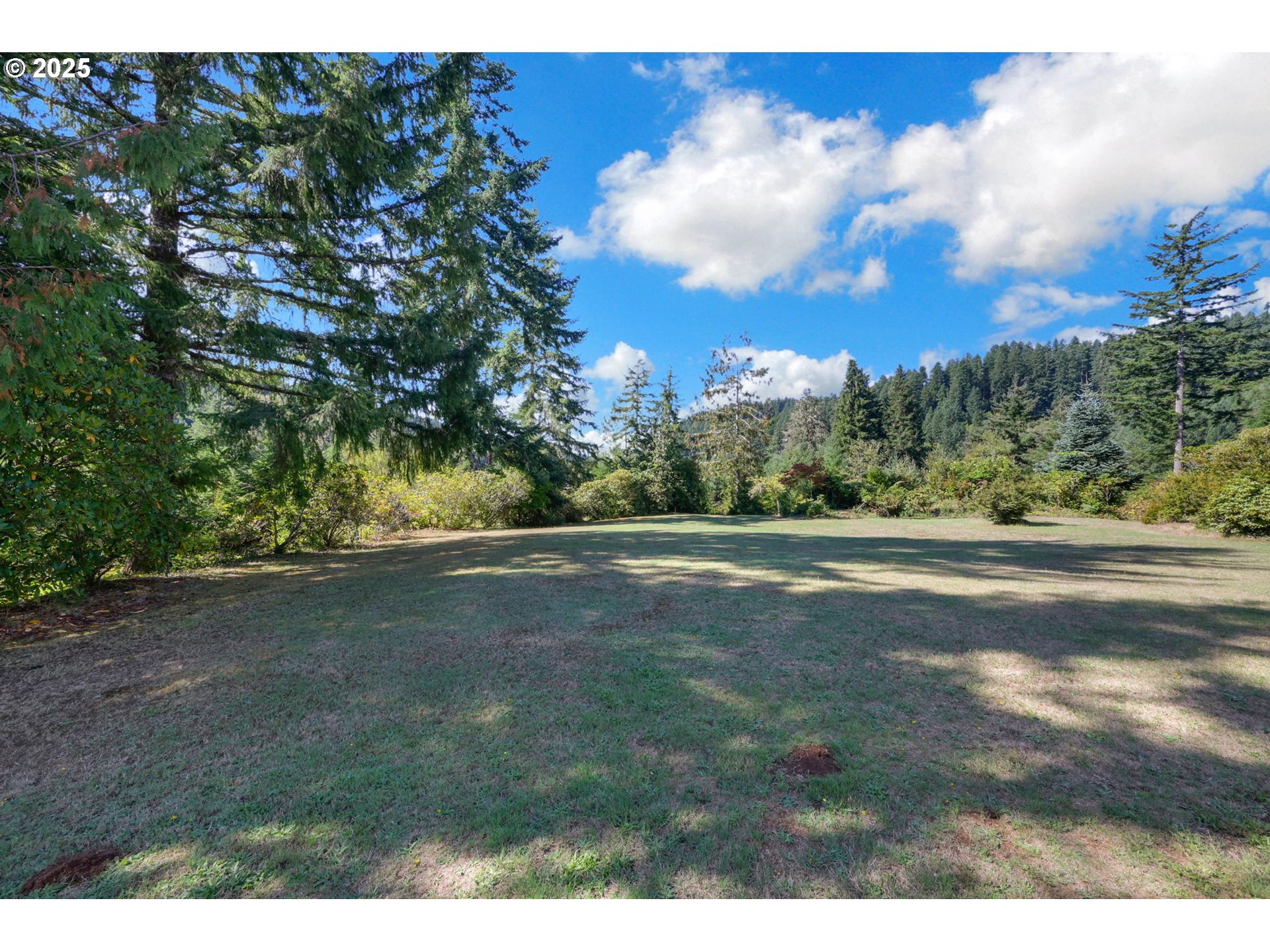 89550 Dick Way Florence, OR 97439 - Photo 38 of 39 a view of a yard
