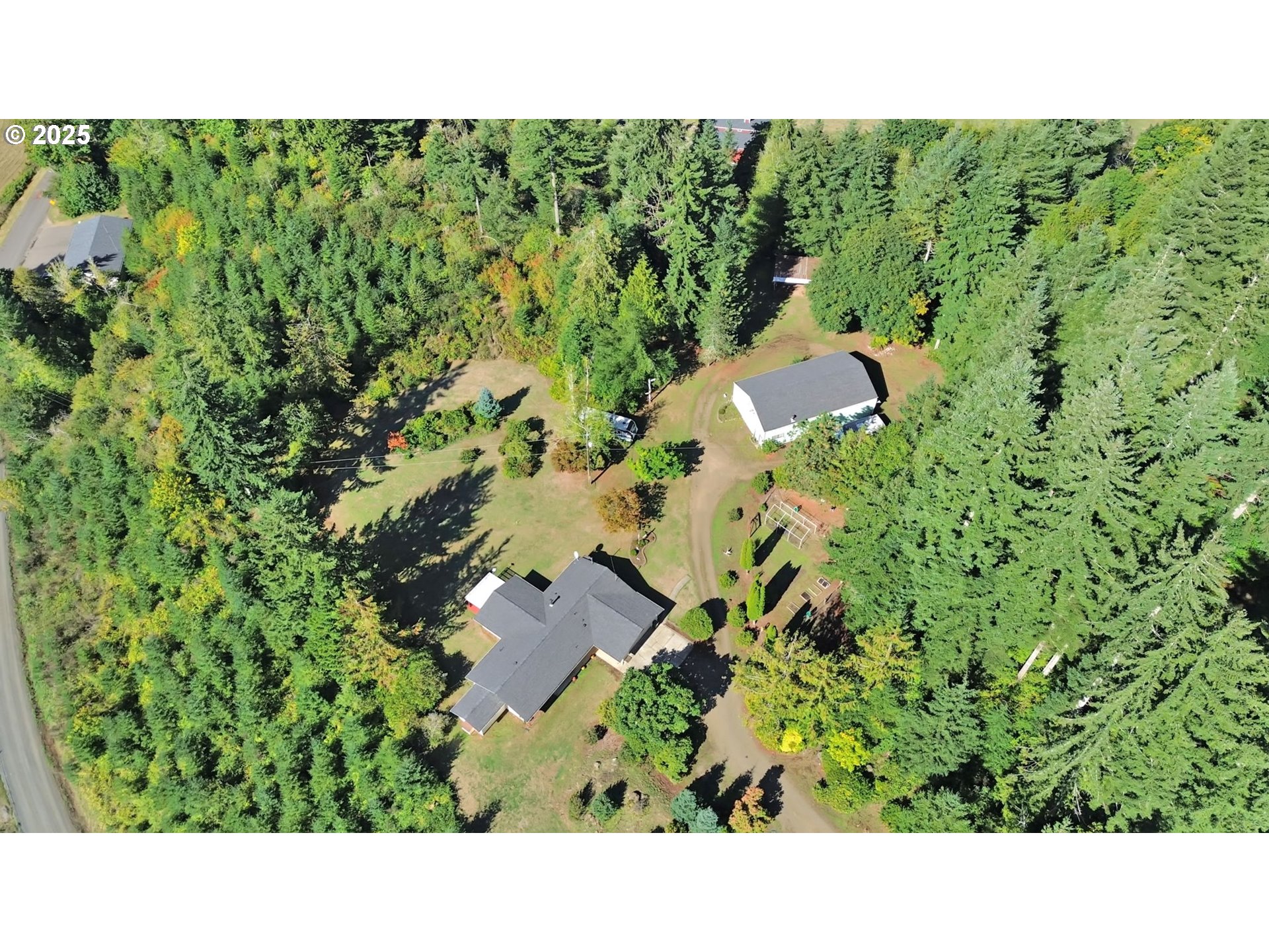 89550 Dick Way Florence, OR 97439 - Photo 5 of 39 a black and white photo of a forest