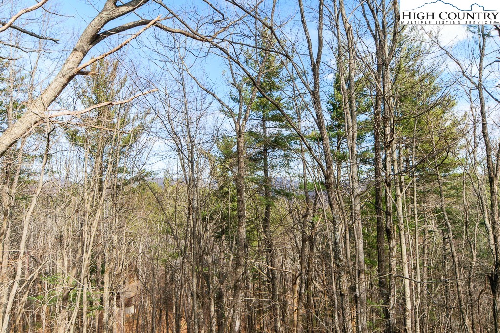 994 Laurel Circle East Deep Gap, NC 28618 - Photo 43 of 47