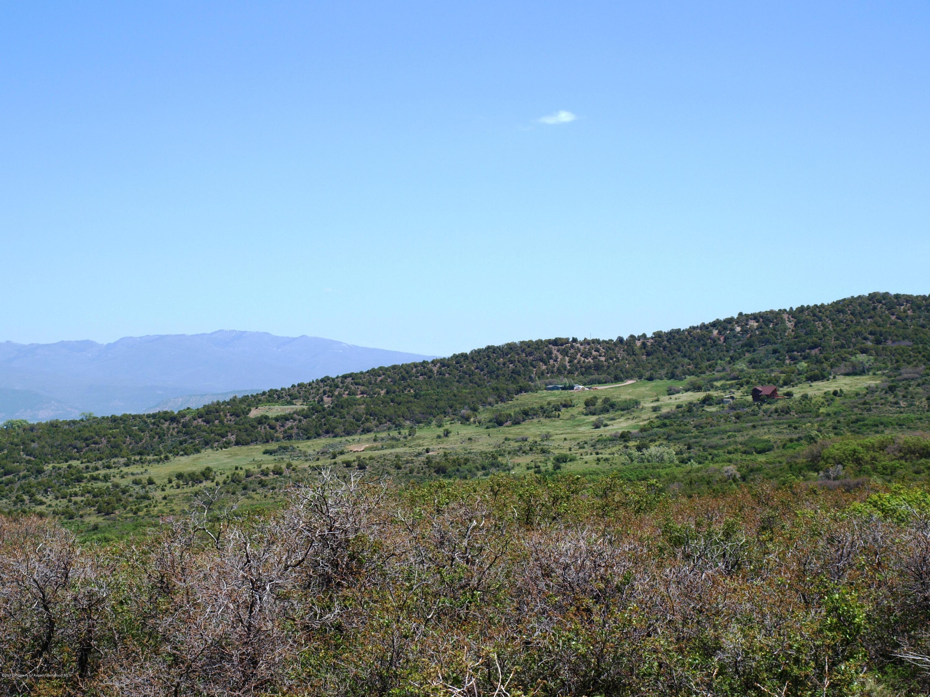 Tbd Parcel Bull Basin Road Molina, CO 81646 - Photo 6 of 9 a view of a lush green forest with mountains in the background
