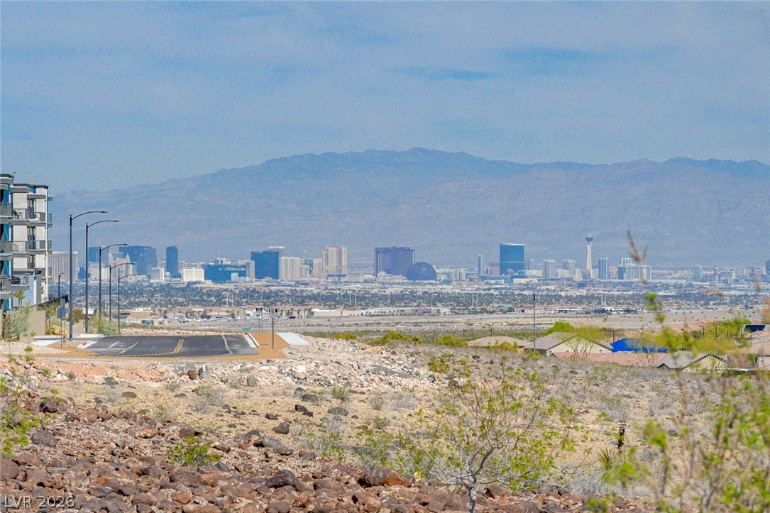 3391 Peak View Avenue Henderson, NV 89044 - Photo 47 of 49