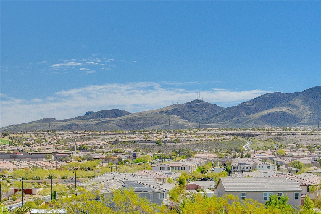 3391 Peak View Avenue Henderson, NV 89044 - Photo 48 of 49