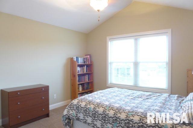 11029 North Ruby Court Dunlap, IL 61525 - Photo 18 of 36 Gallery Image 18