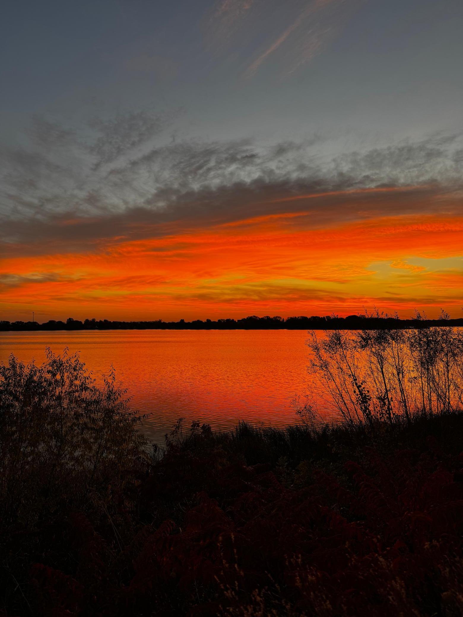 362 South Shore Drive Winsted, MN 55395 - Photo 36 of 39