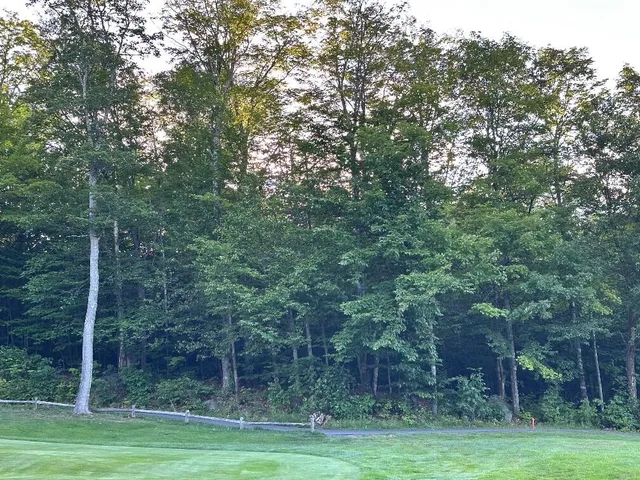 $499,950 | 6099-all Village On The Green Road, Kingfield, ME 04947