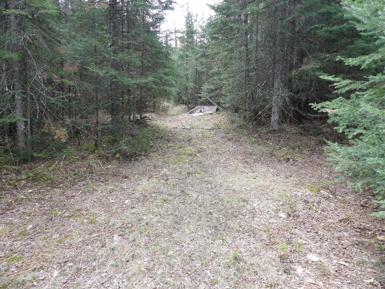 37-ac On Pineaire Drive Rhinelander, WI 54501 - Photo 11 of 21 Gallery Image 11