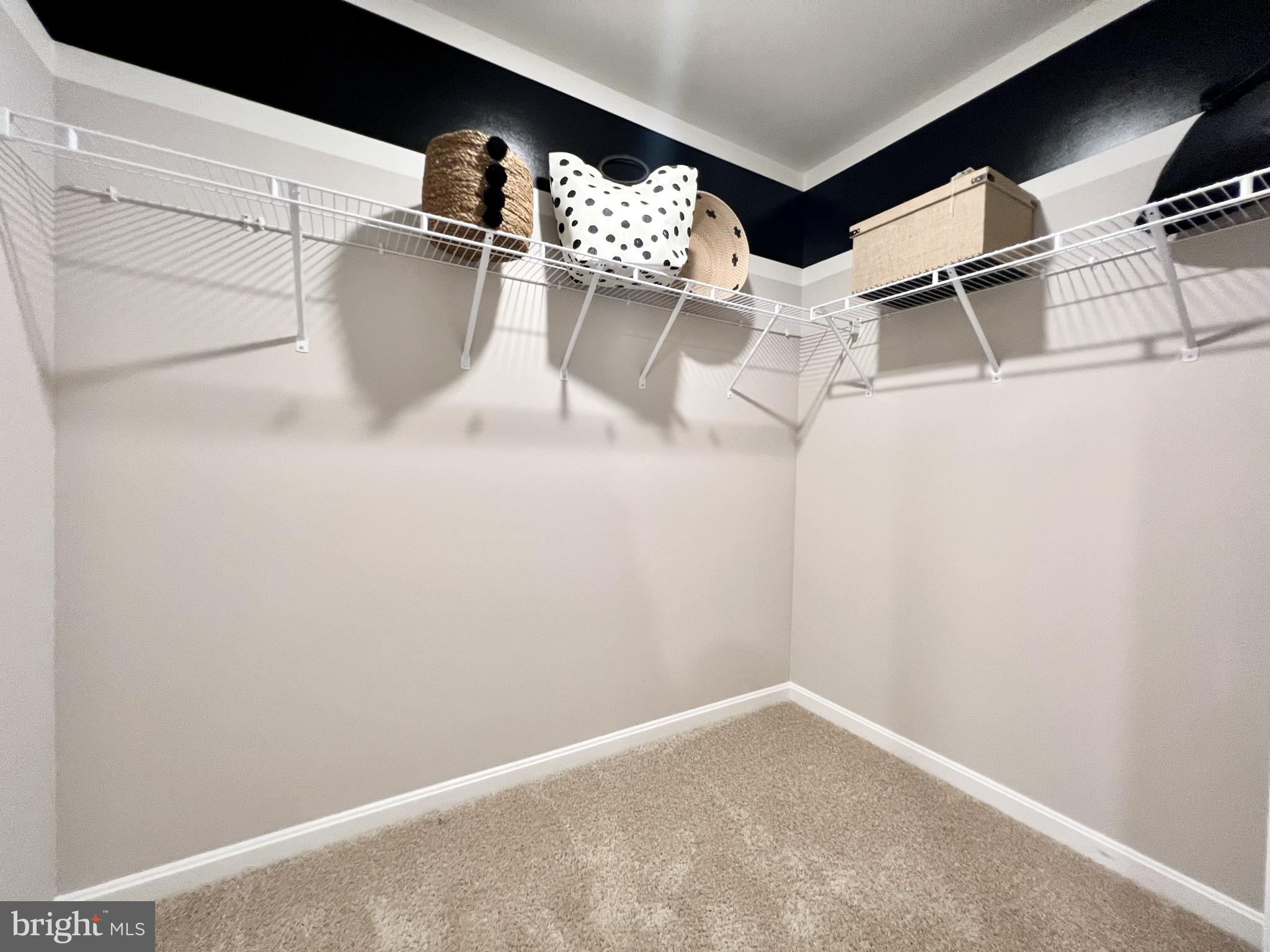 454 Currant Circle Magnolia, DE 19962 - Photo 22 of 36