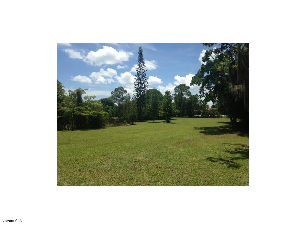1770 Atz Road Malabar, FL 32950 - Photo 34 of 35 yard3