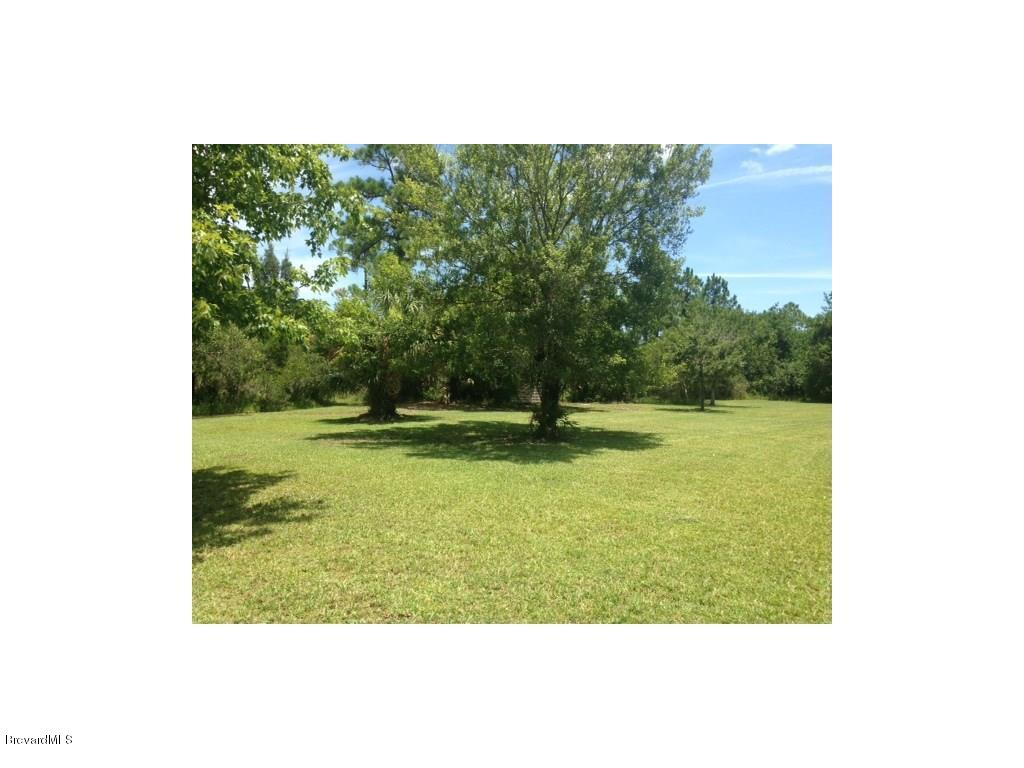 1770 Atz Road Malabar, FL 32950 - Photo 35 of 35 yard4