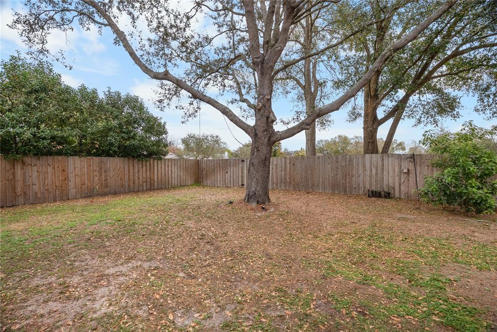 1619 Palace Court Valrico, FL 33594 - Photo 74 of 84